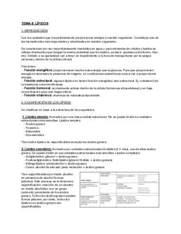 Tema-8-Lipidos.pdf