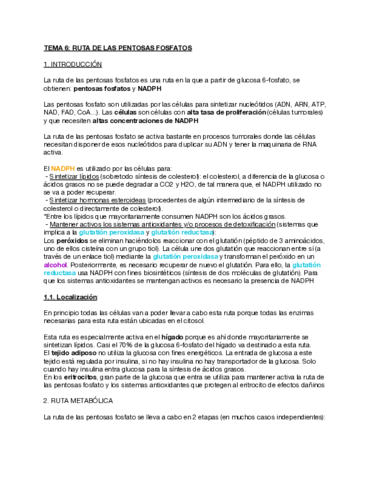 Tema-6-Ruta-de-las-pentosas-fosfato.pdf