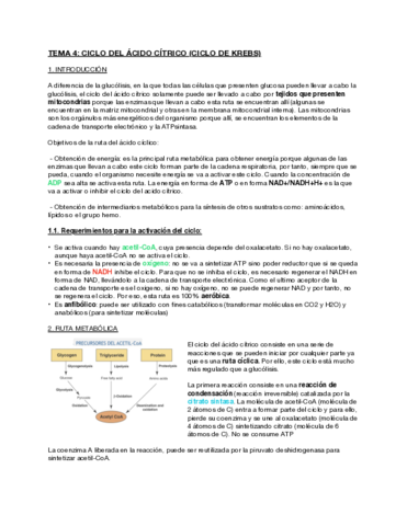TEMA-4-Ciclo-del-Acido-Citrico.pdf