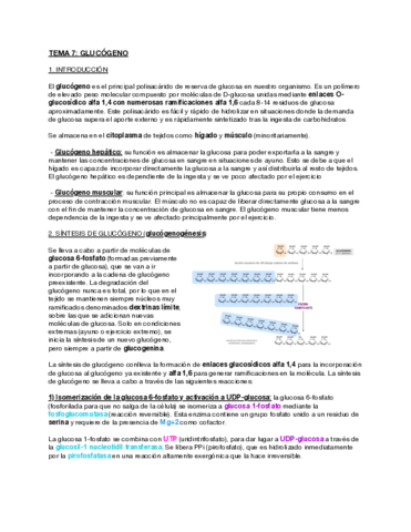 Tema-7-Metabolismo-del-glucogeno.pdf