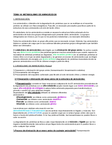 Tema-18-Metabolismo-de-aminoacidos.pdf
