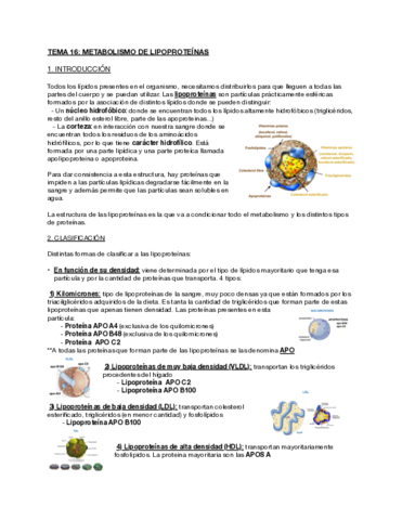 Tema-16-Metabolismo-de-lipoproteinas.pdf