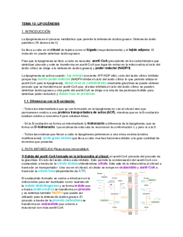 Tema-13-Lipogenesis.pdf