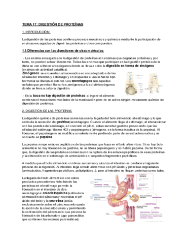 Tema-17-Digestion-de-proteinas.pdf