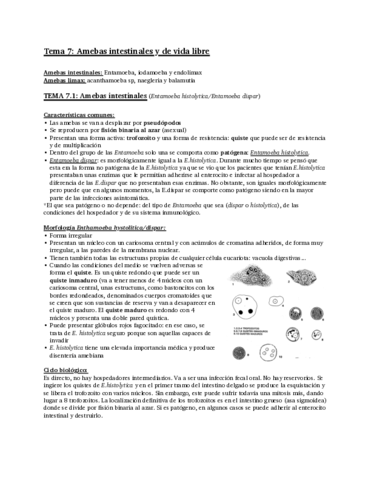 Tema-7-Amebas.pdf