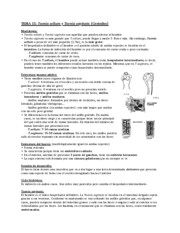 Tema-15-Taenia-solium-y-saginata-1.pdf