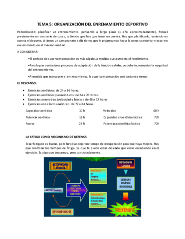 TEMA-5-organizacion-del-entrenamiento.pdf