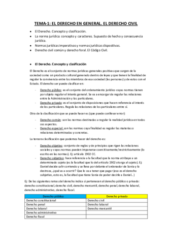TEMA-1.pdf