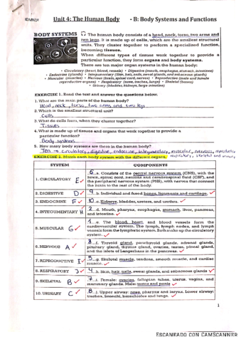 UNIT-4B-THE-HUMAN-BODY-BODY-SYSTEMS-AND-FUNCTIONS.pdf