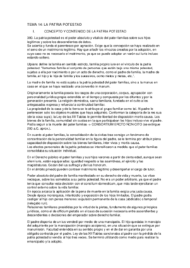 TEMA 14 ROMANO.pdf