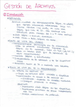 Gestion de archivos.pdf