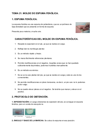 TEMA-21-MOLDE-DE-ESPUMA-FENOLICA.pdf