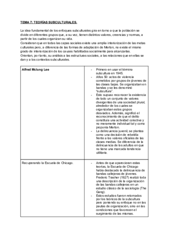 TEMA-7-TEORIAS-SUBCULTURALES.pdf