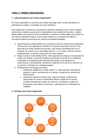 TEMA-2-CRIMEN-ORGANIZADO.pdf