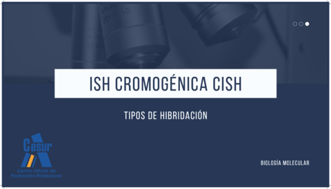 ISH-Cromogenica-CISH.pdf