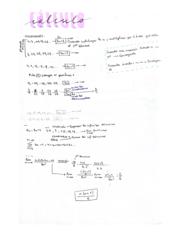 RESUMEN-CALCULO.pdf