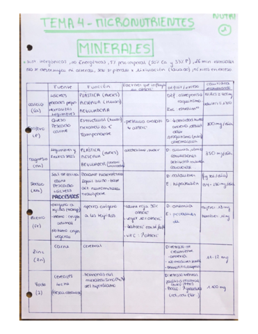 tema-4-.pdf