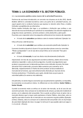 TEMA 1 SP.pdf