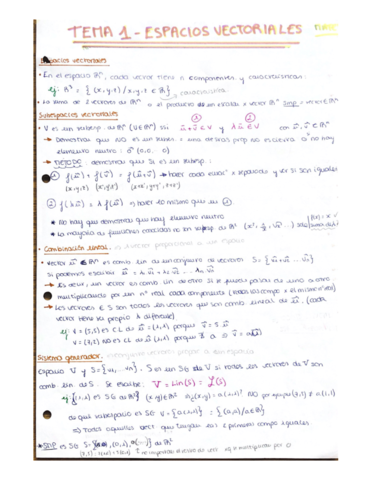 Tema-1-resumen-.pdf