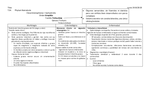 Nematodos-cuadro-resumen.pdf