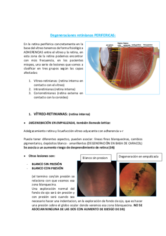 Degeneraciones-retinianas-PERIFERICAS.pdf