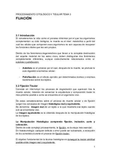 PCIT-TEMA-3-FIJACION.pdf