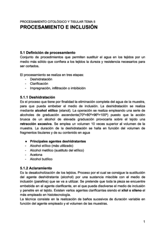 PCIT-TEMA-5-PROCESAMIENTO-E-INCLUSION.pdf