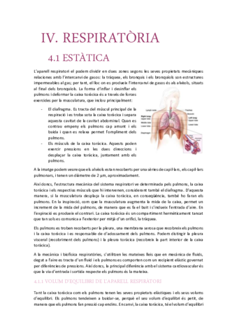 Apunts-respiratoria.pdf