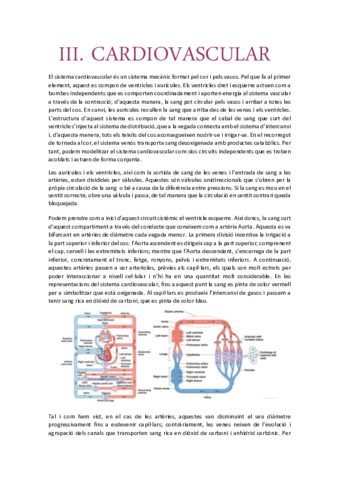 Apunts-cardiovascular.pdf