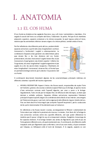 Apunts-Anatomia-.pdf