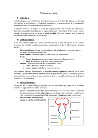 Sistema-nervioso.pdf