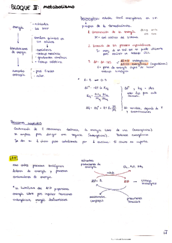 METABOLISMO-BQ-Irene-B.pdf