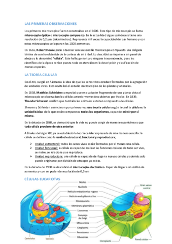 EXAMEN-T.pdf
