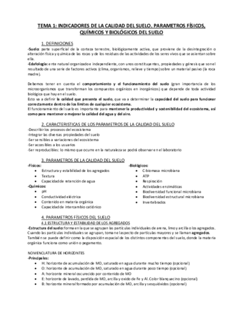 Apuntes-Temas-1-3-DRS.pdf
