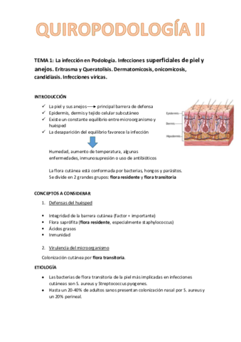 TEMA 1 quiro 2.pdf