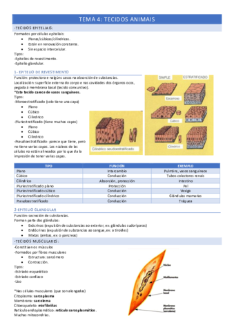 Bio-Tema-4.pdf
