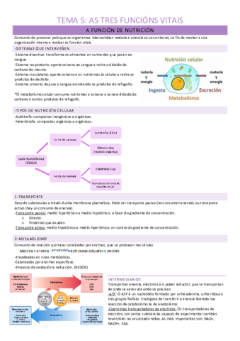 Bio-Tema-5.pdf