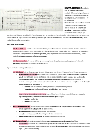 MUTACIONES.pdf