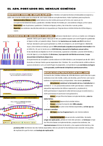 EL-ADN-1.pdf