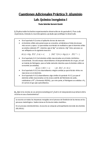 CA-P3-Paula-Gabriela-Garnero-Cambi.pdf
