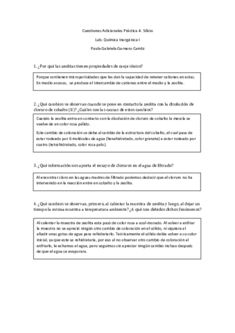 CA-P4-Paula-Gabriela-Garnero-Cambi.pdf