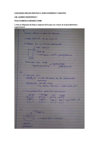 CP-P6-PAULA-GABRIELA-GARNERO-CAMBI.pdf