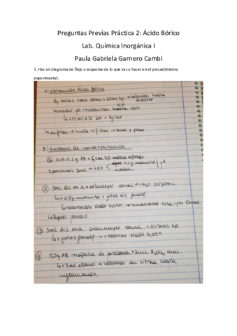 CP-P2-Paula-Gabriela-Garnero-Cambi.pdf