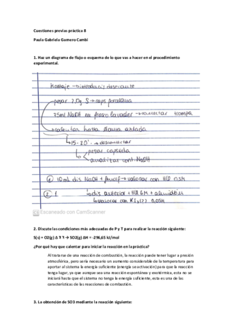 CP-P8-Paula-Gabriela-Garnero-Cambi.pdf