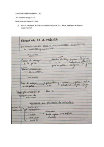 CP-P5-Paula-Gabriela-Garnero-Cambi.pdf