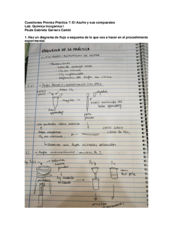 CP-P7-Paula-Gabriela-Garnero-Cambi.pdf