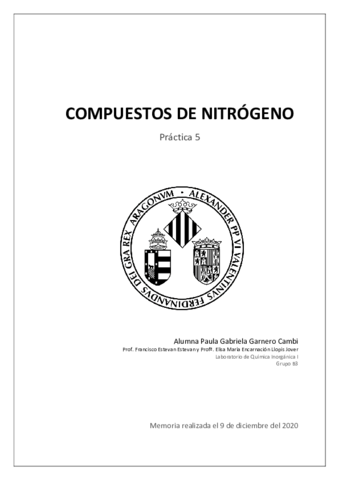 MEMORIA-P5-PAULA-GABRIELA-GARNERO-CAMBI.pdf