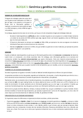 BLOQUE-5-Genetica.pdf