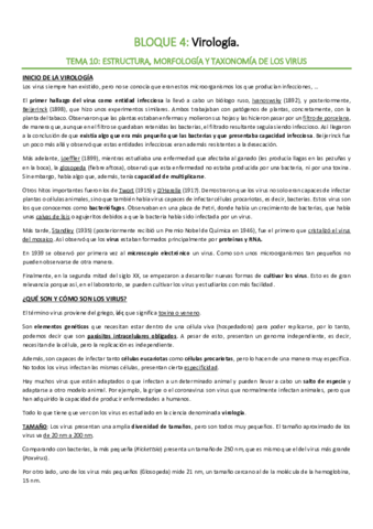 BLOQUE-4-Virologia.pdf