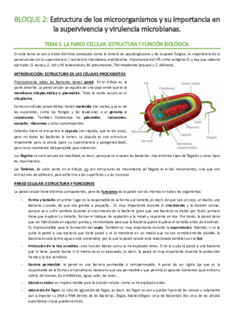 BLOQUE-2-Estructura-microorganismos.pdf